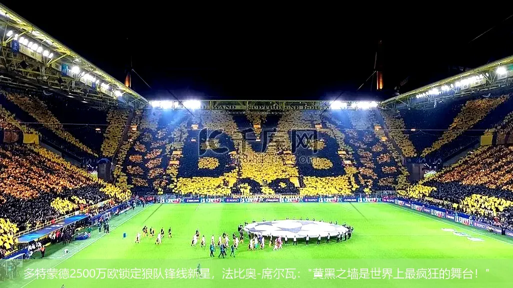 8月31日,多特蒙德2500万欧锁定狼队锋线新星，法比奥-席尔瓦："黄黑之墙是世界上最疯狂的舞台！"